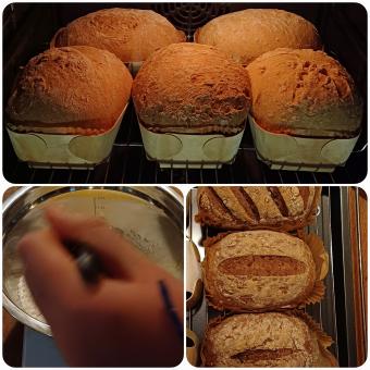 Ein kleiner Eindruck von unserem Backkurs 2024, es wurden leckere Brote und Brötchen hergestellt.