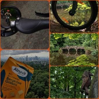 Diesmal waren wir mit dem Rad unterwegs, vom Vierwaldstättersee ( wer nicht aus Frankfurt ist , es ist der Jacobiweiher gemeint). Das Gewässer wurde nach Plänen des früheren Leiters des Forstamtes Dr. Jacobi durch Anstauen des Königsbachs 1932 geschaffen. Unser Picknick verbrachten wir am Goetheturm. Mit seinen 196 Stufen und der Höhe von 43,3 Metern genießt man einen fantastischen Ausblick auf die Frankfurter Region.