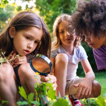 kunterbunten Entdeckungen