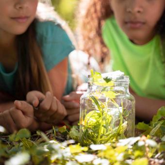 Erlebnisse in der Natur