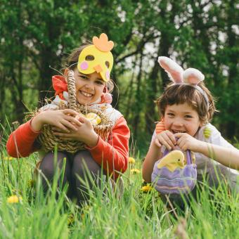 Kinder suchen Nester