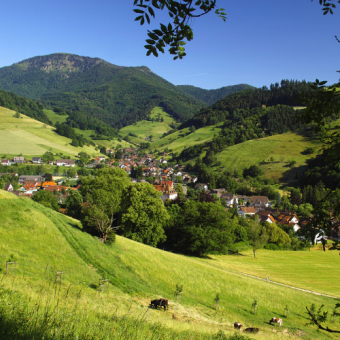 Die grünen Hügel, Berge im Breisgau