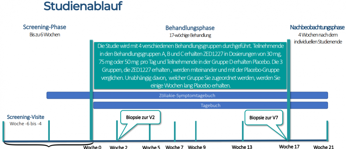 Studienablauf Studienablauf
