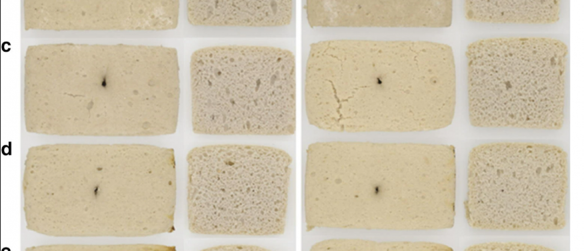 Brot_studie Brot_studie