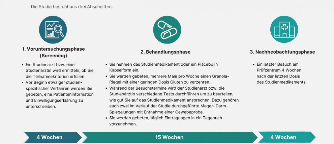 Studienablauf des Medikamentes ZED1227
