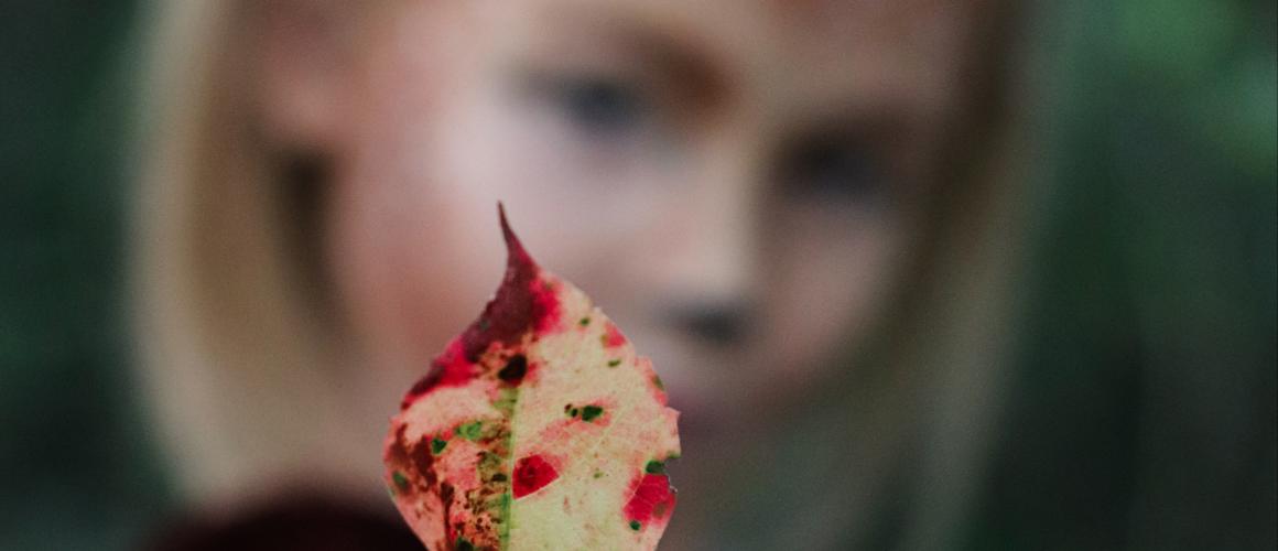 Mystisches Urach – Tauche in die Welt der Kelten & Druiden ein