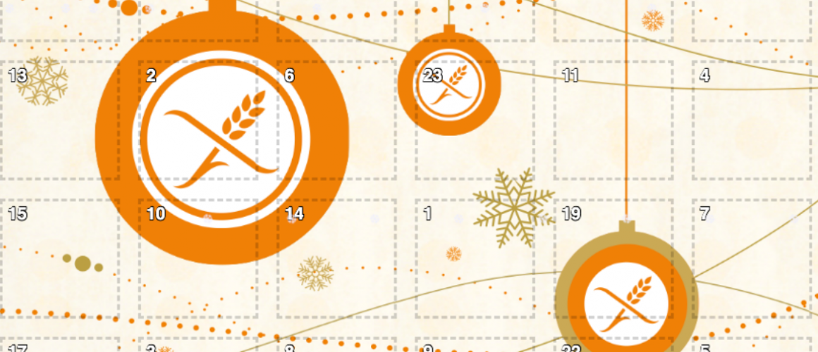 Der DZG Adventskalender
