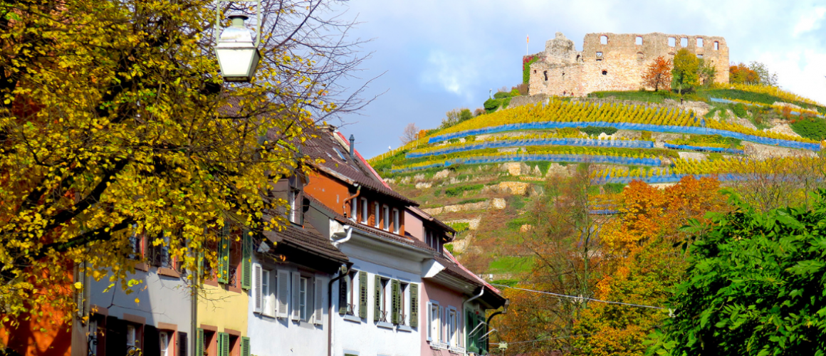 Malerisches Breisgau mit Fachwerkhäusern, Weinberg und Ruine