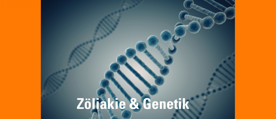 In der Mitte eine graue DNA-Doppelhelix, also eine spiralförmig verdrehte Struktur der Erbsubstanz. dahinter links und rechts noch 2 weiter. Der Hintergrund ist auch grau. Unten steht Zöliakie & Genetik
