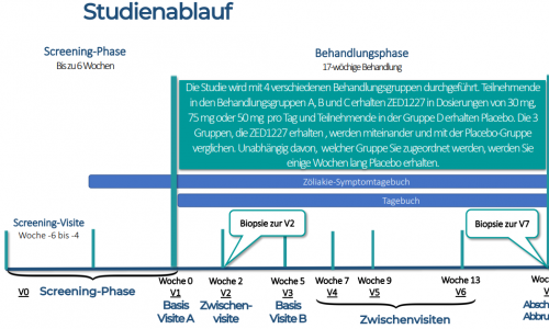 Studienablauf