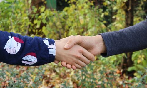 Hand Shake