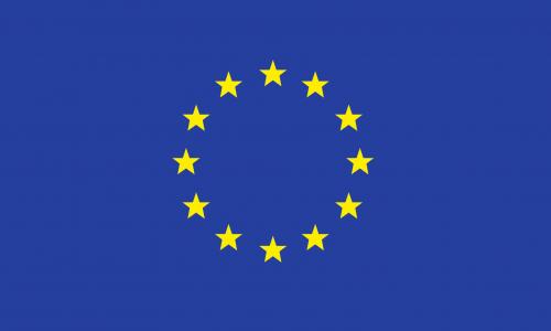 EU nimmt Zöliakie-Petition an