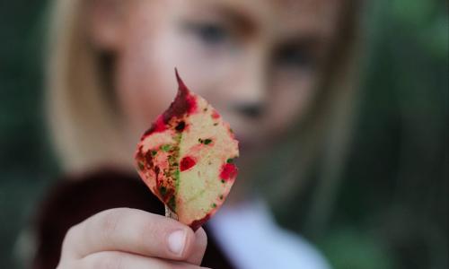 Mystisches Urach – Tauche in die Welt der Kelten & Druiden ein