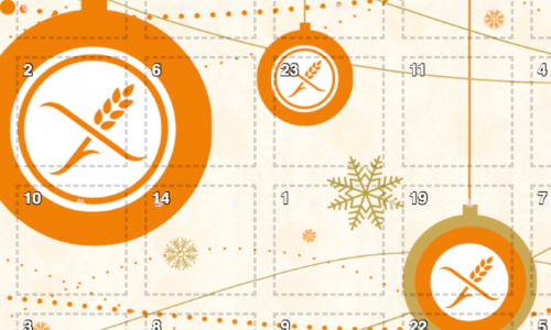 Der DZG Adventskalender