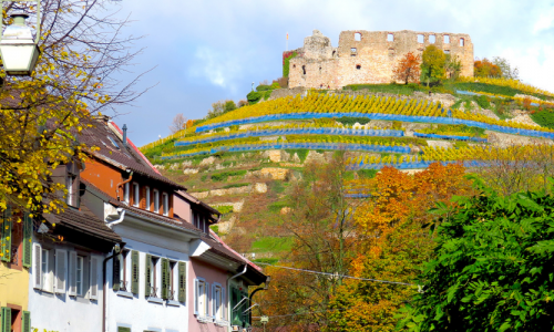 Malerisches Breisgau mit Fachwerkhäusern, Weinberg und Ruine
